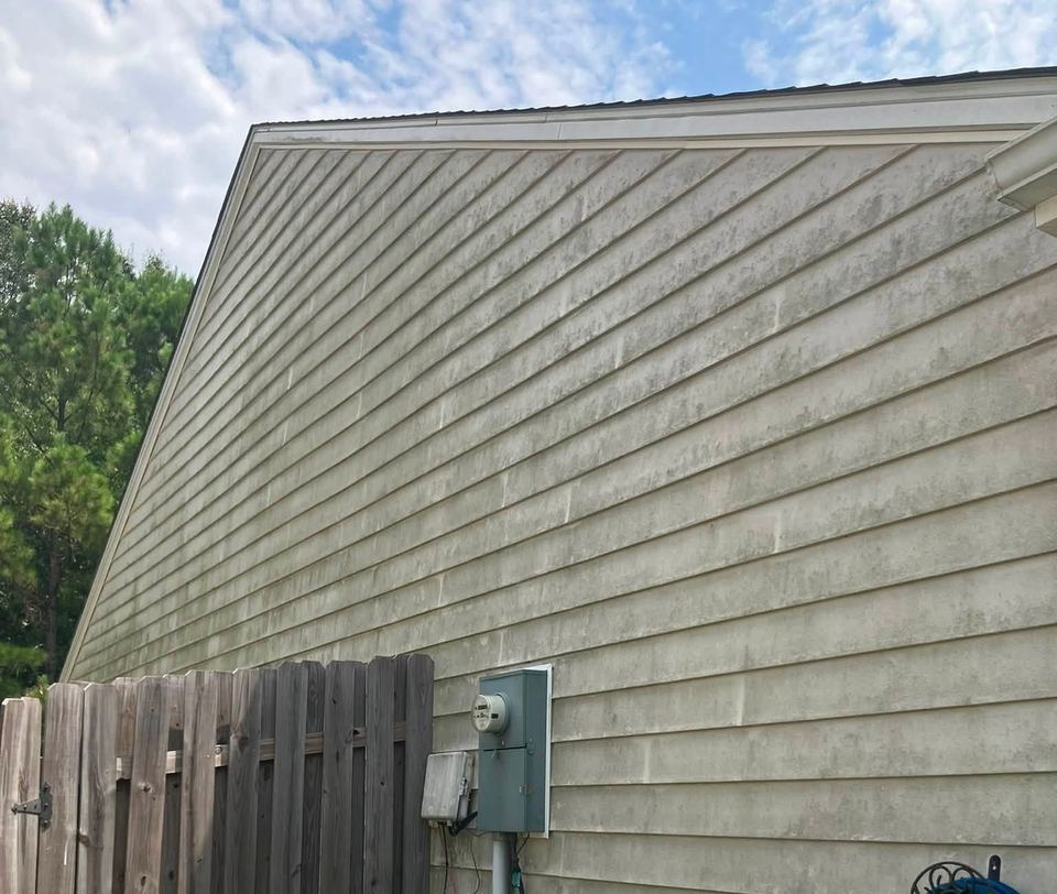 House siding before washing, streaked with green algae and mildew.